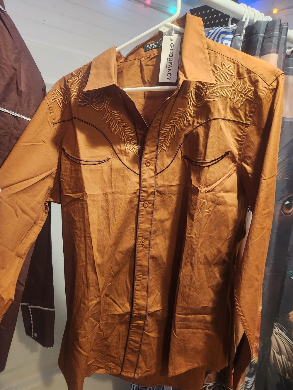 Men's Long-Sleeve Western Shirt - Brown